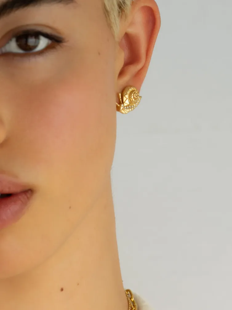 Snail Stud Earrings